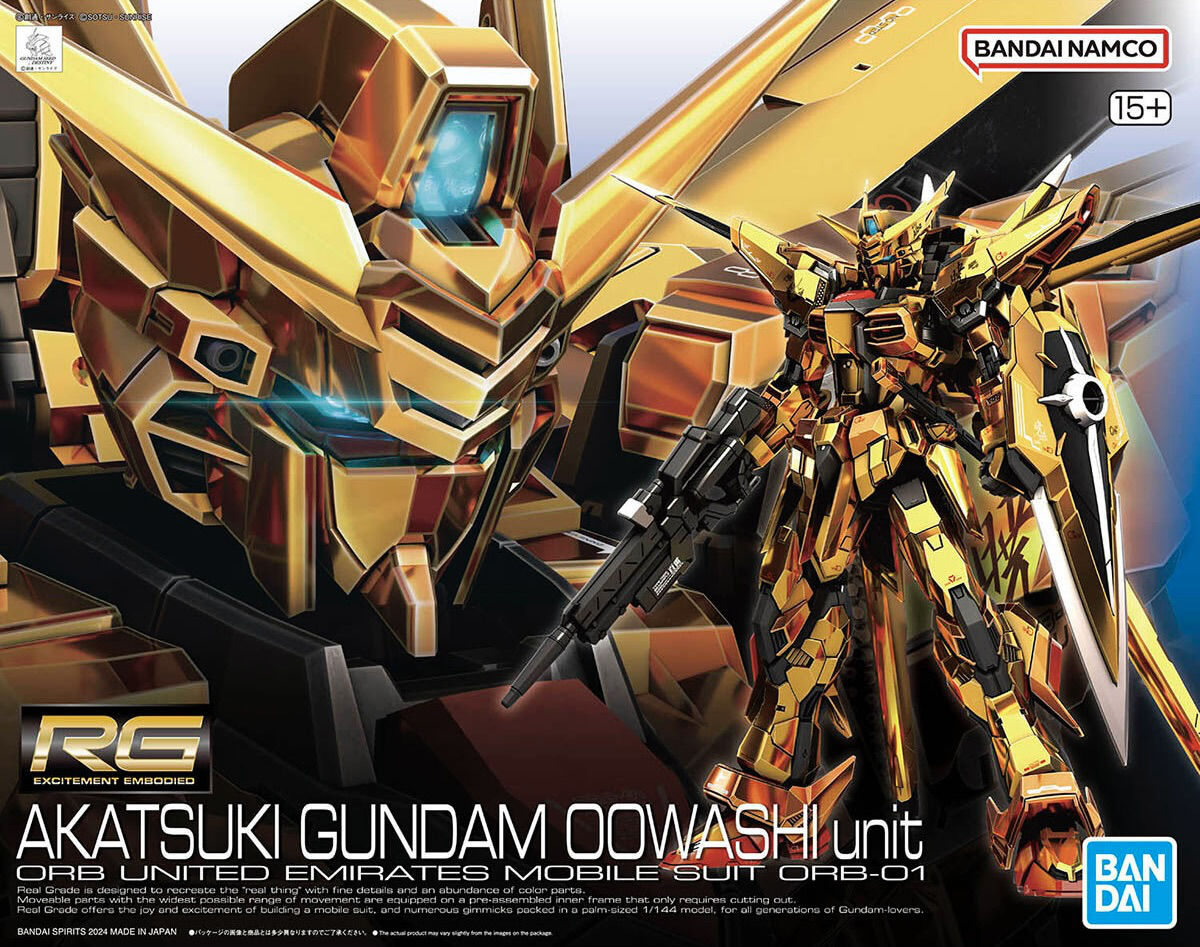 RG #041 AKATSUKI GUNDAM (OOWASHI PACK)