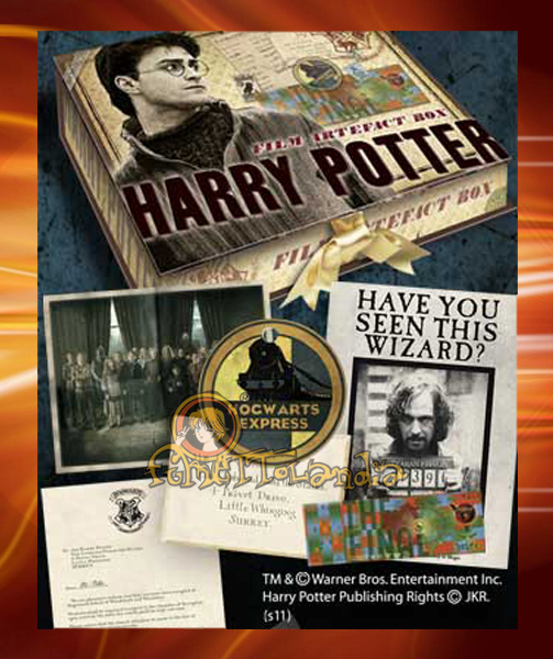 HARRY POTTER ARTEFACT BOX HARRY POTTER