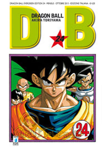 DRAGONBALL EVERGREEN EDITION #024