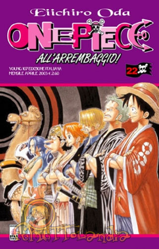 YOUNG #107 ONE PIECE N.22