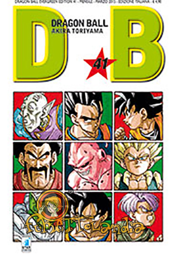 DRAGONBALL EVERGREEN EDITION #041