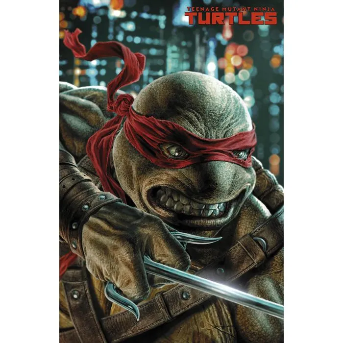 TEENAGE MUTANT NINJA TURTLES NS VARIANT #001