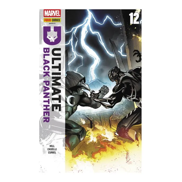 ULTIMATE BLACK PANTHER #012